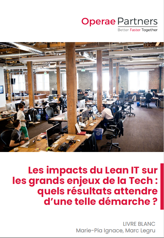 Livre blanc Lean IT